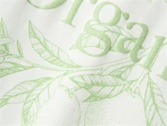 Name It cloud dancer/arcdian green printet t-shirt